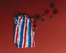 Load image into Gallery viewer, Jax in All Star Stripe
