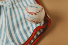 Load image into Gallery viewer, Retros | Coast Stripe