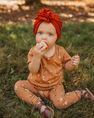 Fall Staple Set in Cardamom